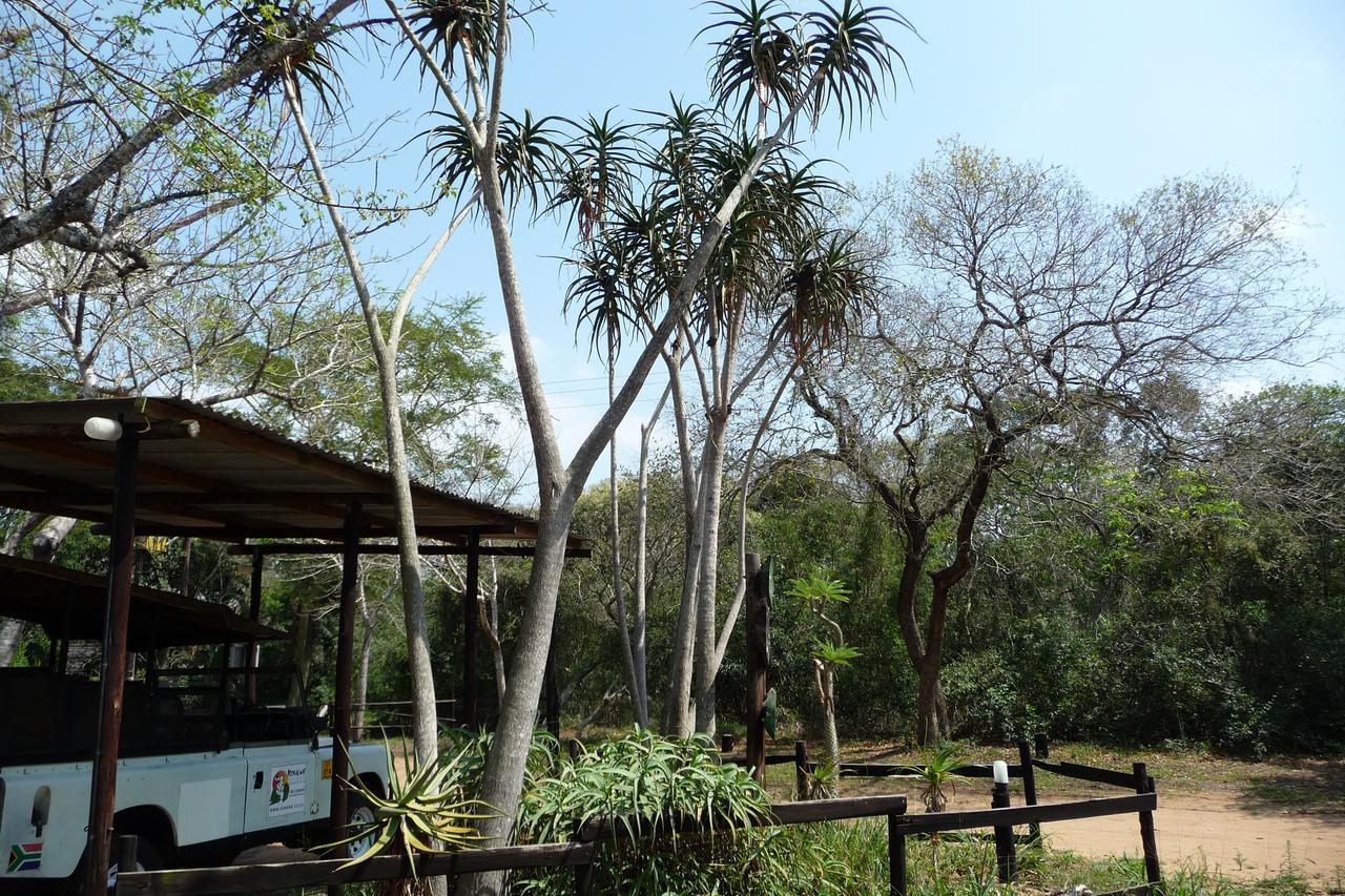 Isinkwe Bush Camp Villa Hluhluwe Eksteriør bilde