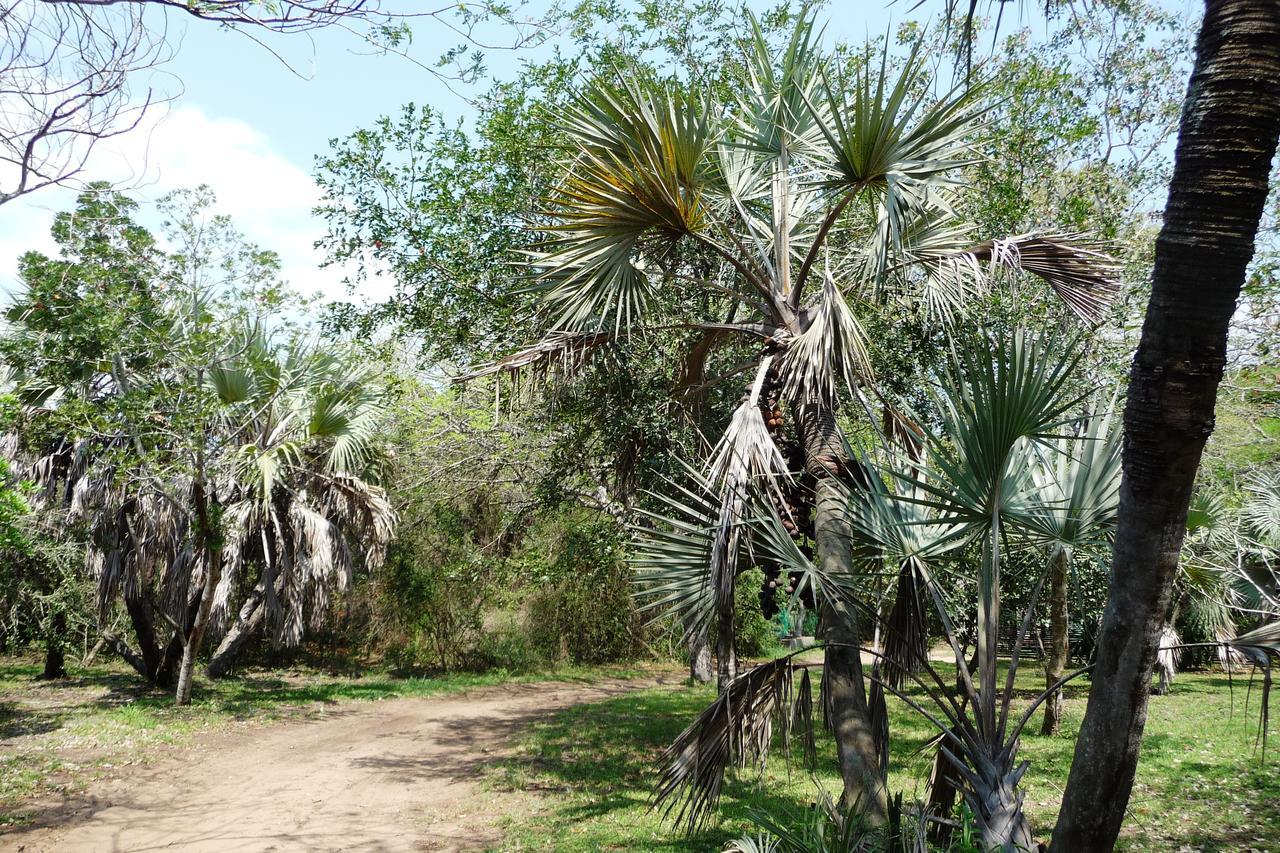 Isinkwe Bush Camp Villa Hluhluwe Eksteriør bilde